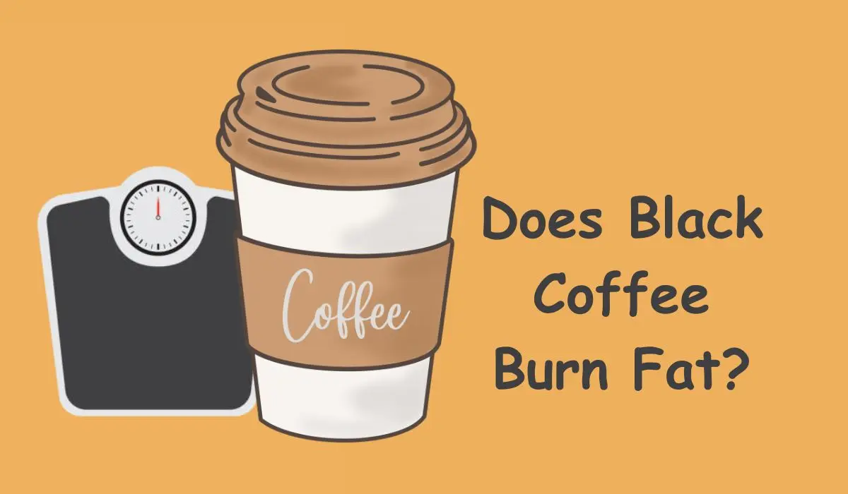 Does Black Coffee Burn Fat