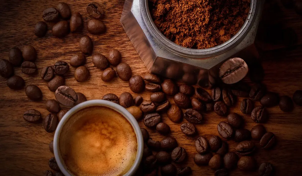 connection between coffee gut health and weight loss